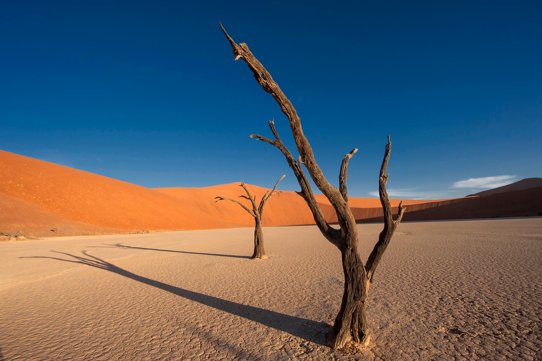 Stadtentwicklung grüne Schiene Worms