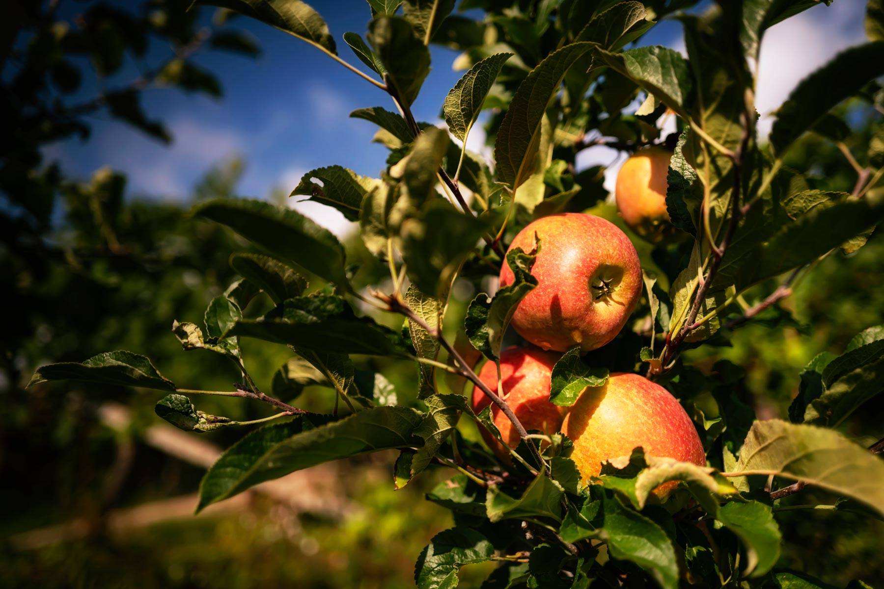 Menschen im Brennpunkt