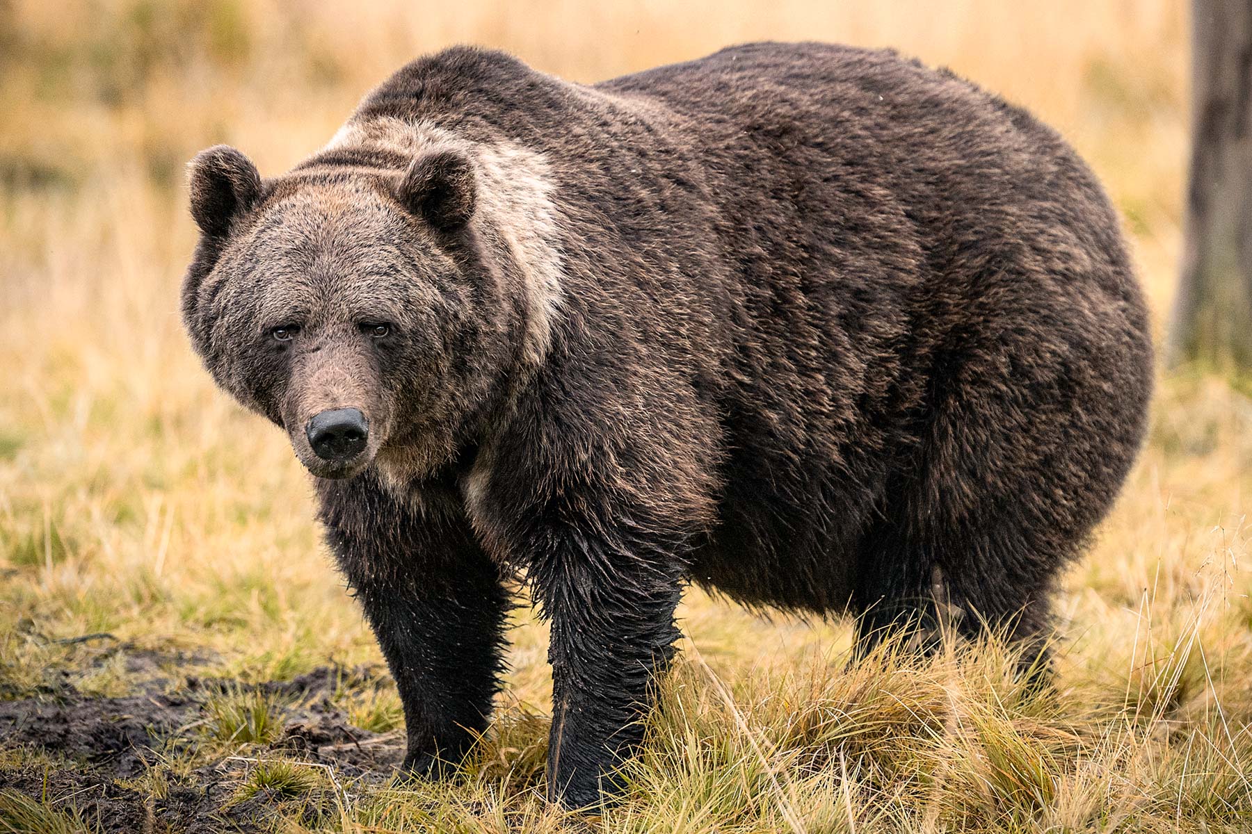Fotoreise Finnisch Lappland Wanderungen in Finnland