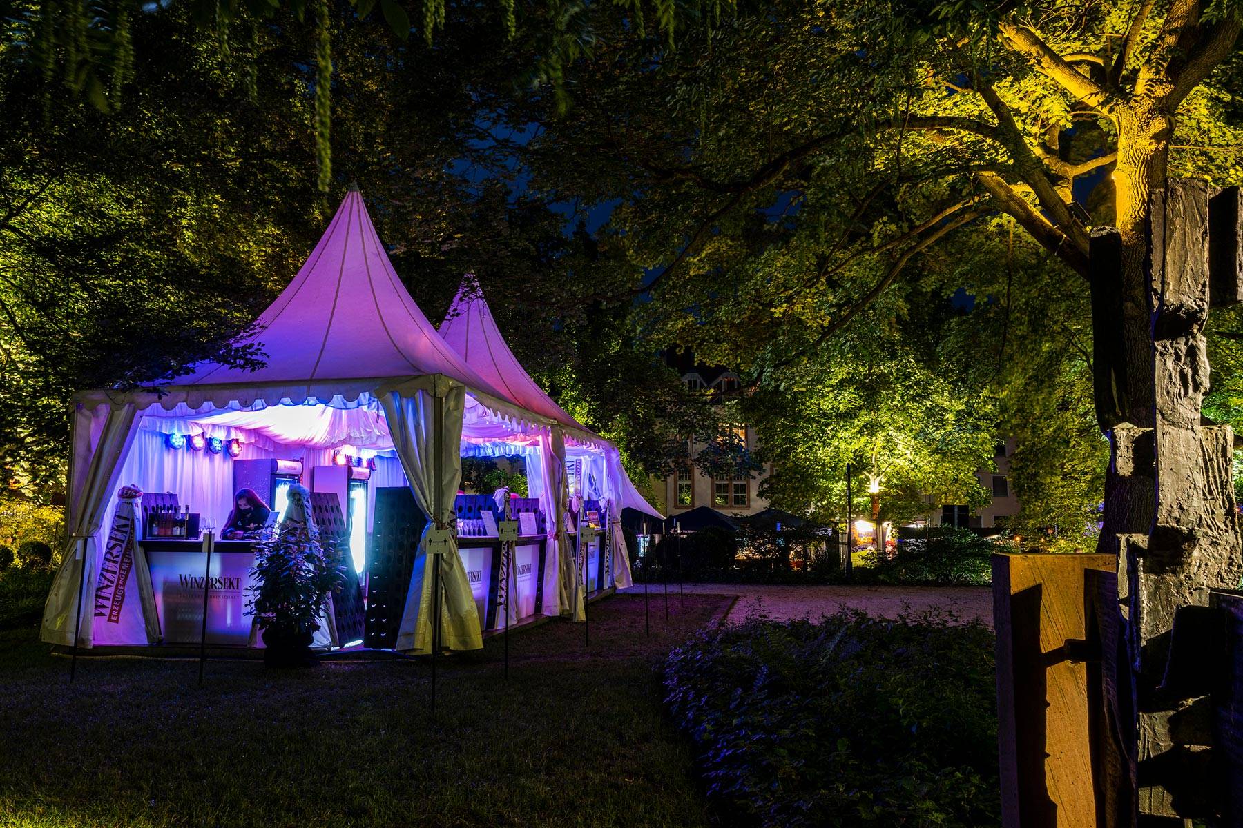 500 Jahre Reichstag zu Worms: Die Nibelungen-Festspiele bringen Luther auf die Bühne vor dem Kaiserdom