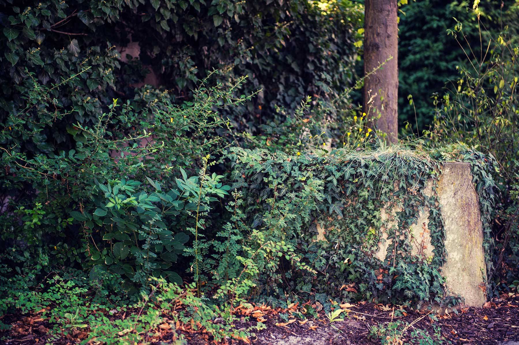 Wasserspiele und Brunnen für das Leben