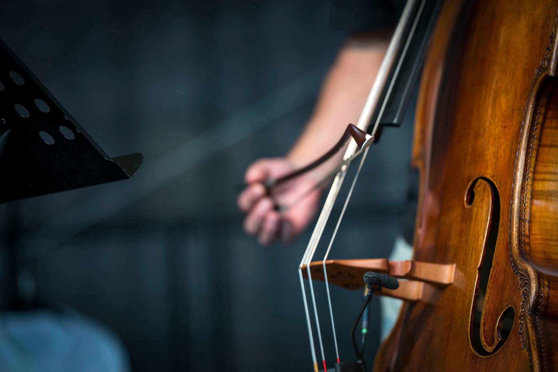 Vier Bühnen mit Top Acts in Worms